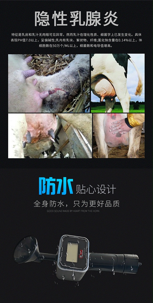 奶牛_02