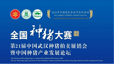 第21届中国武汉种猪拍卖展销会圆满落幕，带您回顾现场精彩瞬间！