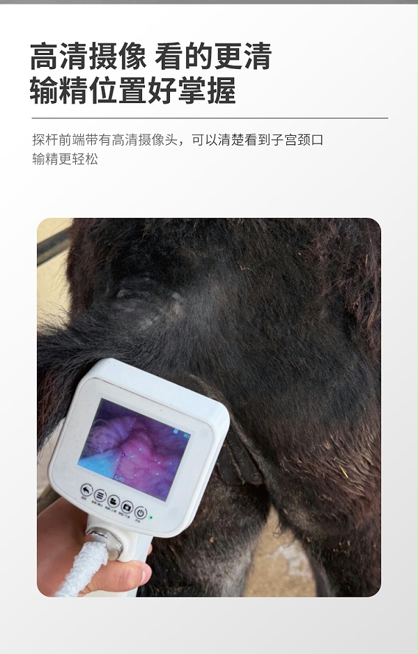 驴马可视输精枪详情_02