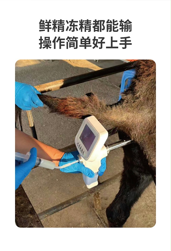 驴马可视输精枪详情_03