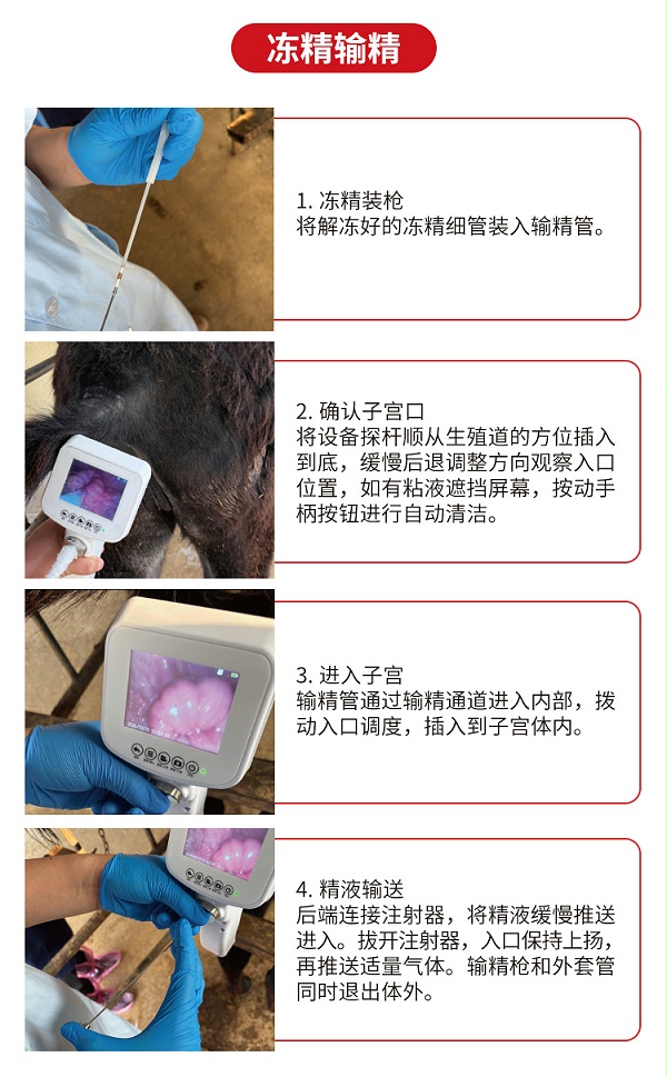 驴马可视输精枪详情_11