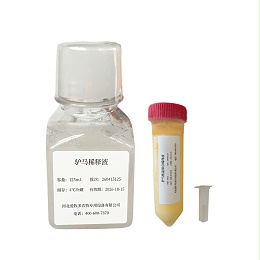 驴马稀释液