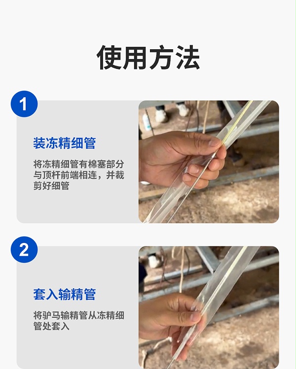 驴马输精管顶杆详情_03