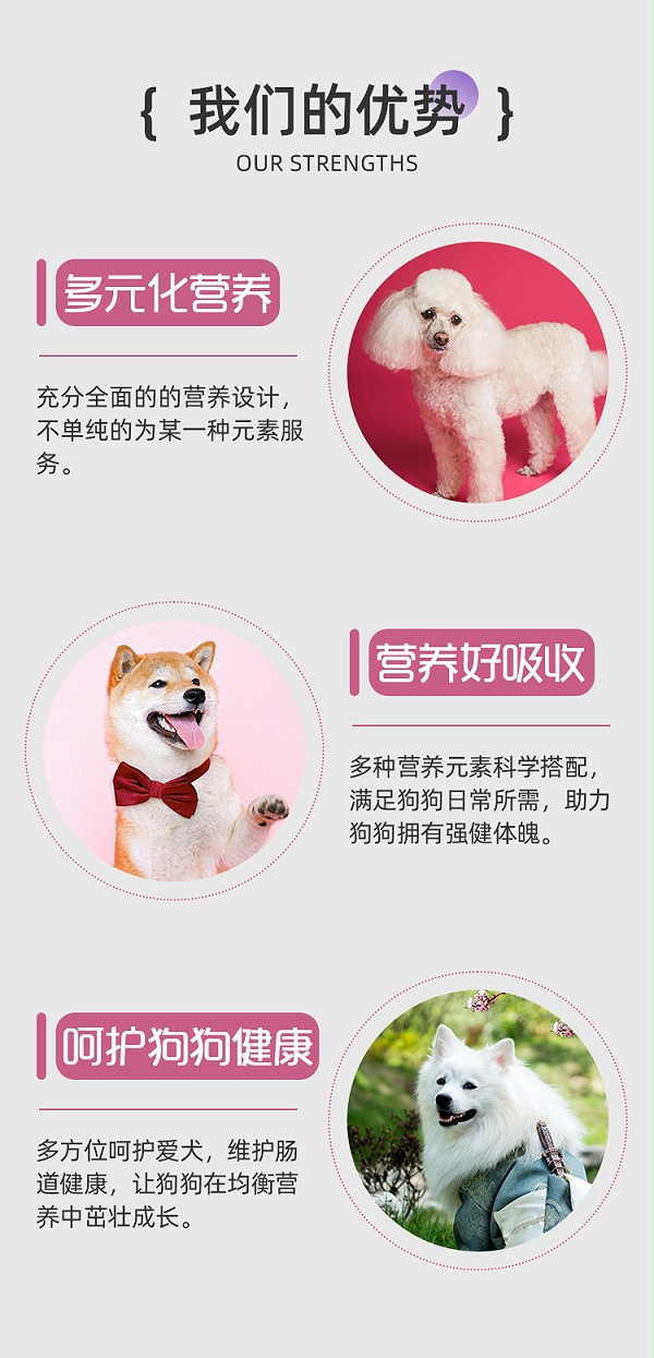 母犬二套详情_02