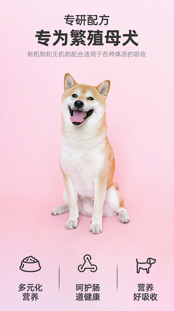 母犬二套详情_04