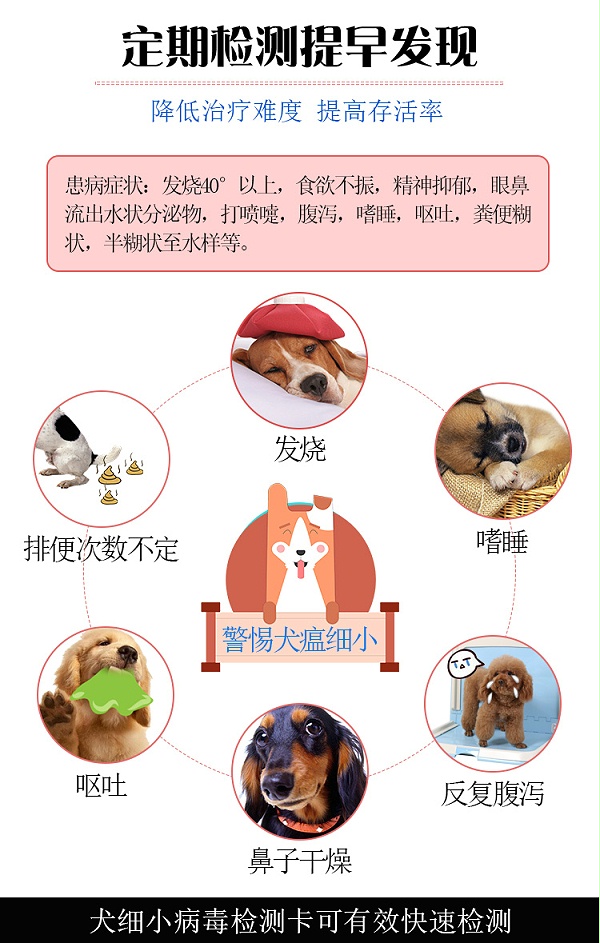 犬细小病毒检测卡_02