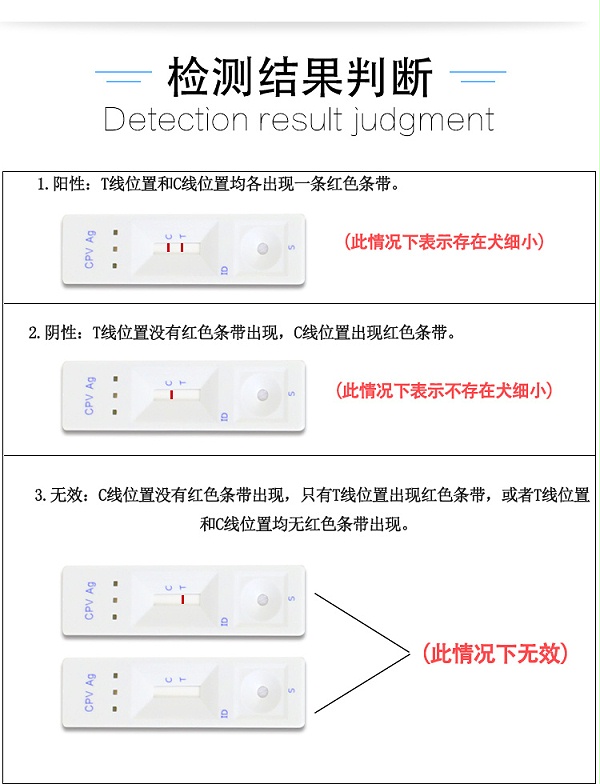 犬细小病毒检测卡_05