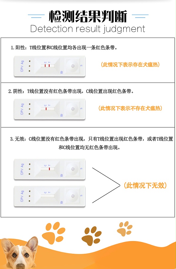 犬瘟热检测卡xiang_04
