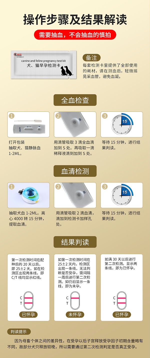 犬早孕_04