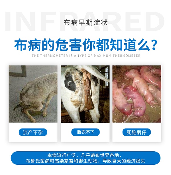 中性布病试纸-通用无采血_02