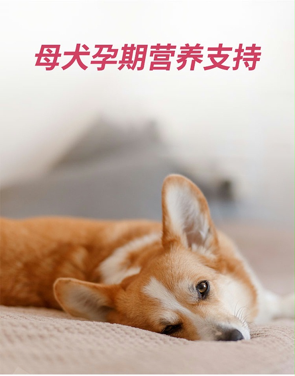 详情_02
