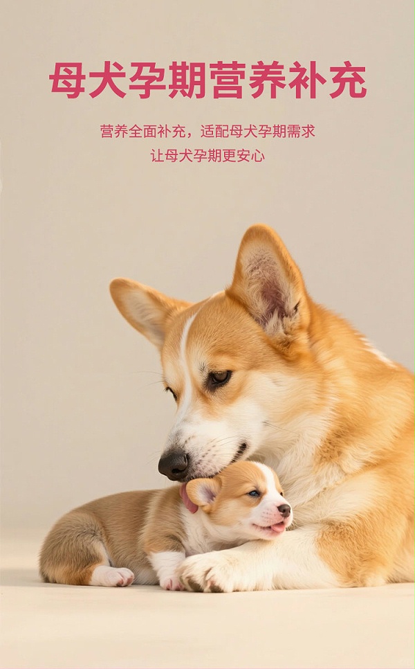 详情_04