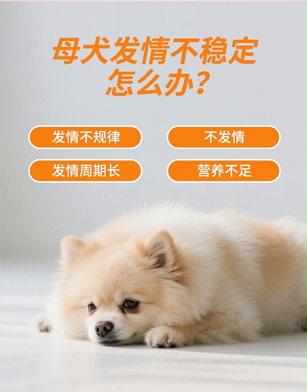 准备了详情_02