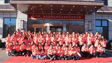 16载同行，共赴新程｜河北爱牧多 & 北京倍特双 2025 年终总结