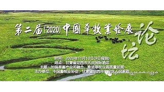 爱牧多旗下品牌（霹雳超人）现身第二届（2020）中国草牧业发展论坛