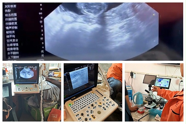 拼图_美图设计室 (3)