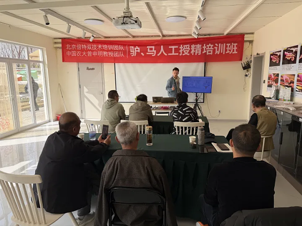 2a3c0fae031a4c8a99adfc1be3322ca1