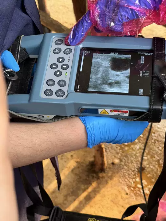 4e033af4039d42a59e59fcb98ca61d7d