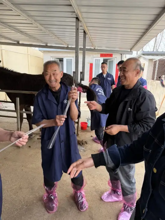 541fcf9c0bf84e1f9d1f8e19b4d4f23c