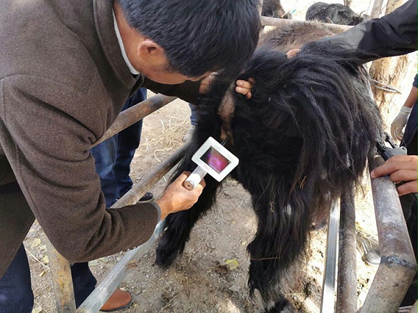甘肃省甘南藏族自治州畜牧工作站-爱牧多案例
