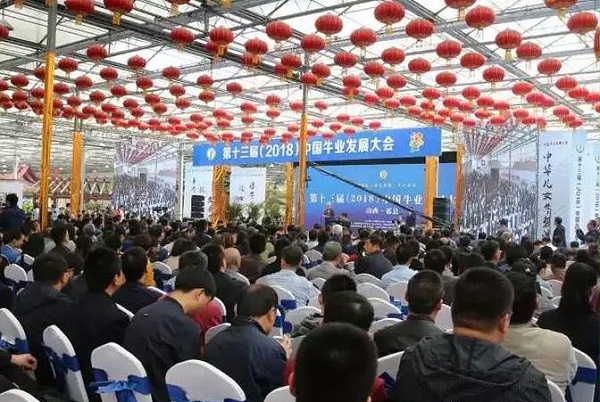 爱牧多参与第十三届（2018）中国牛业发展大会在山西祁县盛大开幕