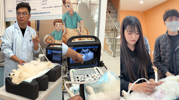 企业微信截图_17629397848469