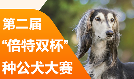 第二届 “倍特双杯” 种公犬大赛重磅来袭，万元大奖等你来战！