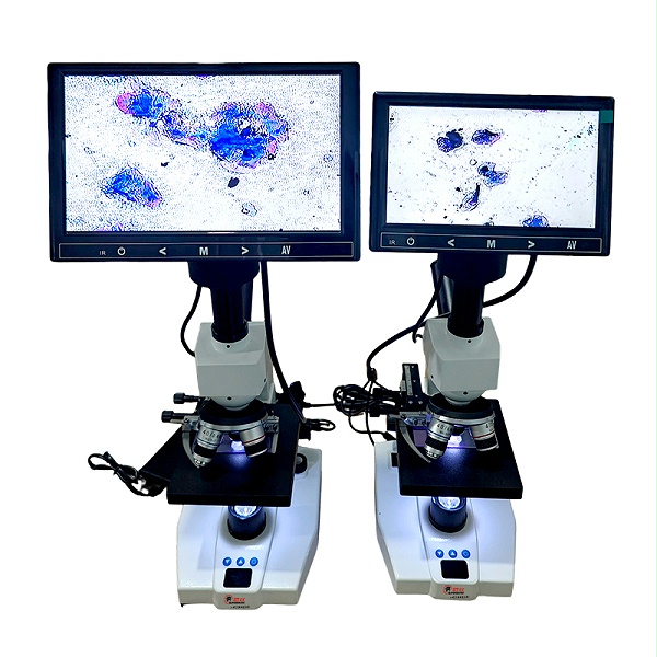 大屏显微镜