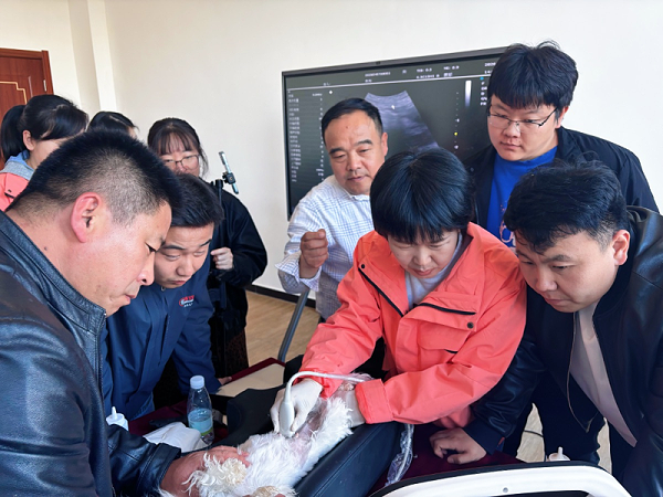 e3cbc66f0567420dacd184b0eacf2cf8