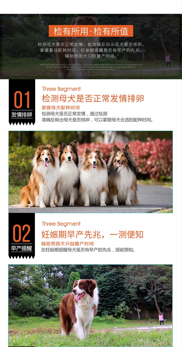犬孕酮-中文_06