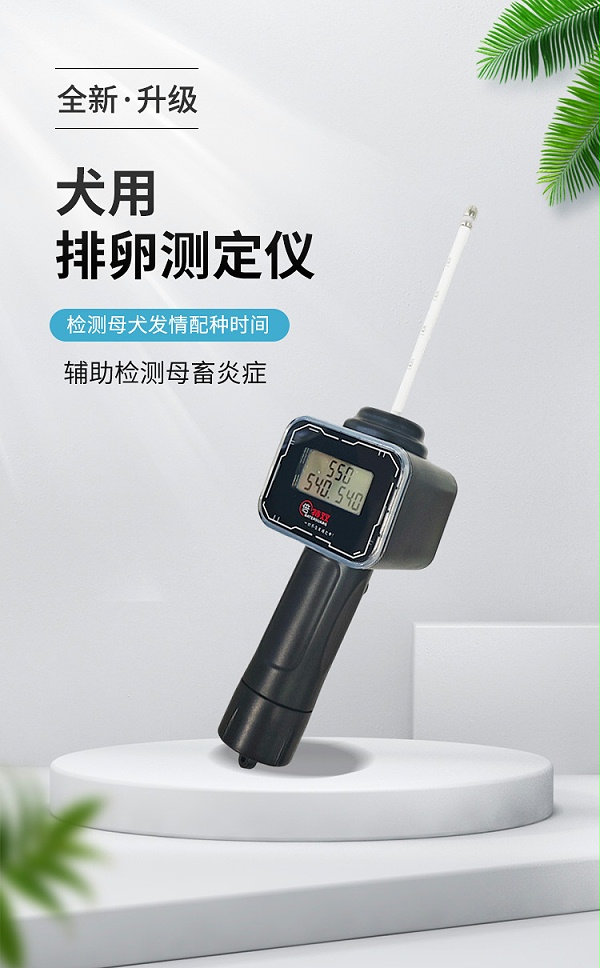 新款犬排详情_01