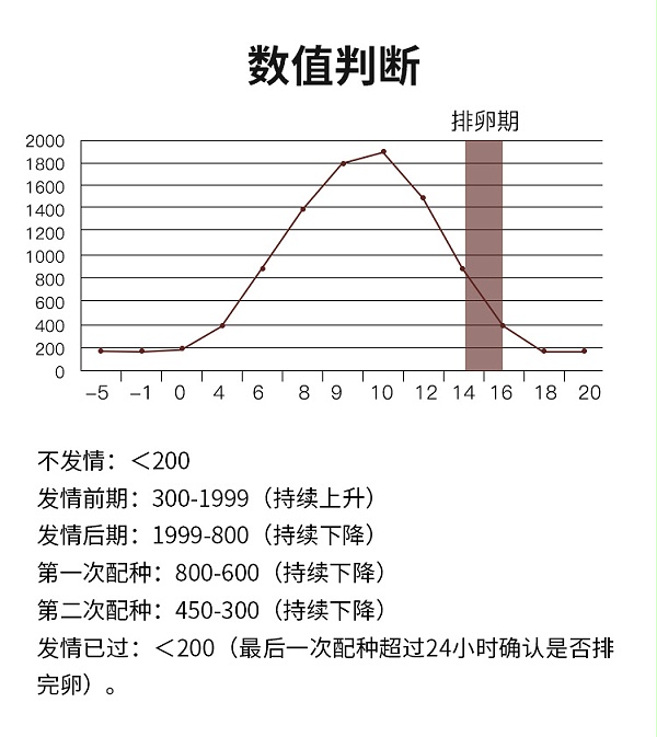 新款犬排详情_09