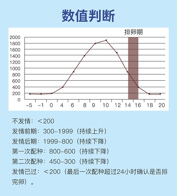 刻度犬排详情_06