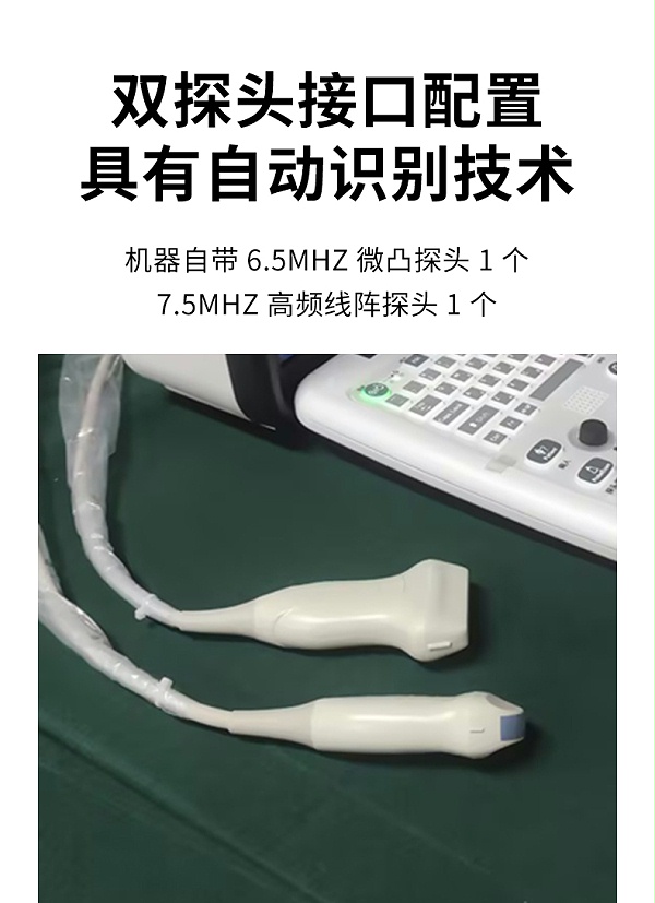 犬用彩超详情_03