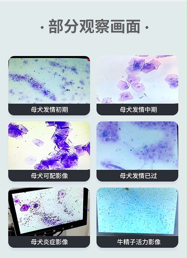 显微镜-自产_07