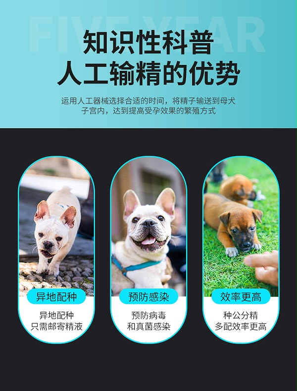 一次性输精管---副本_04