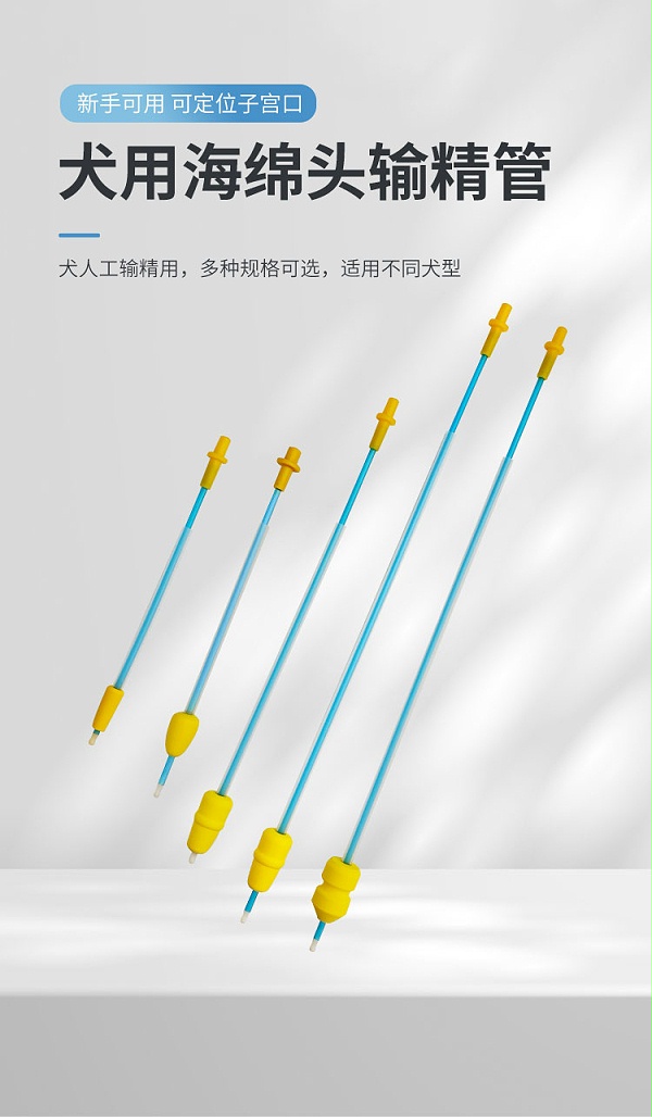 海绵头输精管详情_01