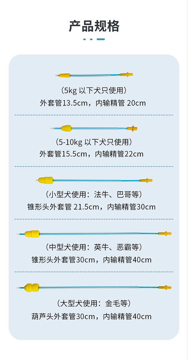 海绵头输精管详情_02