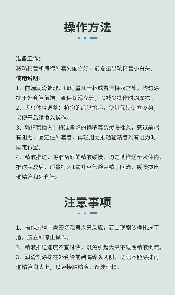 海绵头输精管详情_05