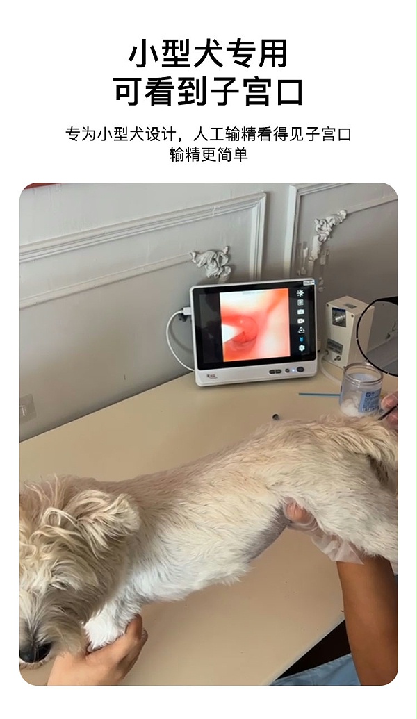 台式新款详情_02