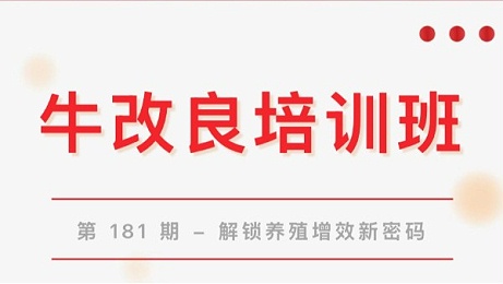 【重磅开班·第181期】牛改良技术培训班来袭！解锁养殖增效新密码