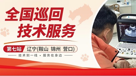 【全国巡回技术服务第七站】辽宁丨倍特双把技术送到犬舍